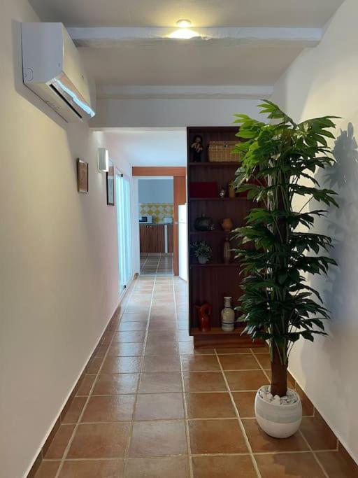 Casa Da Oliveira Villa Mourão Buitenkant foto